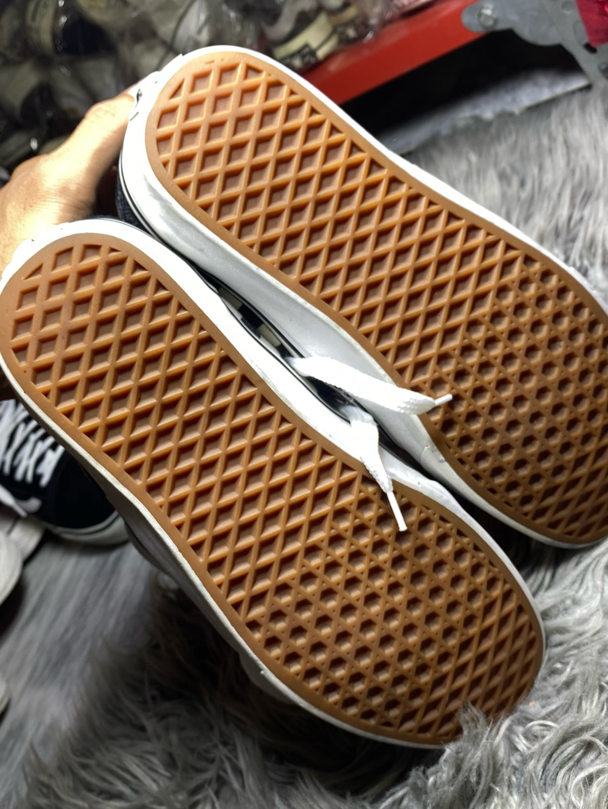 Vans Low Top (43)