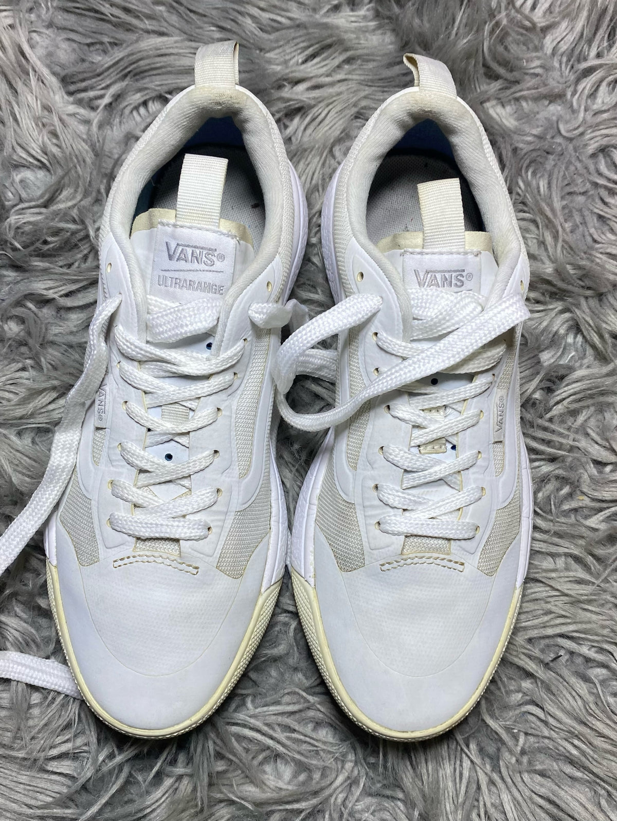 Vans Low Top (38.5)