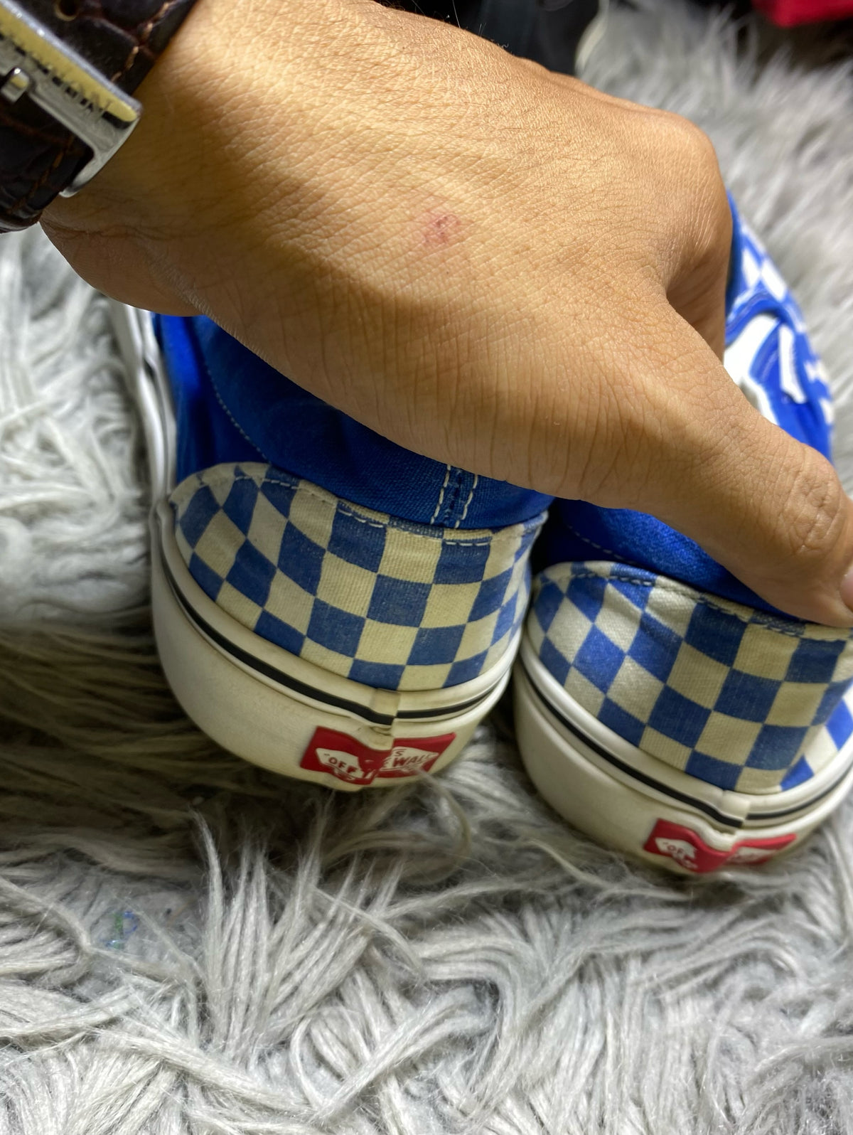 Vans Low Top (46)