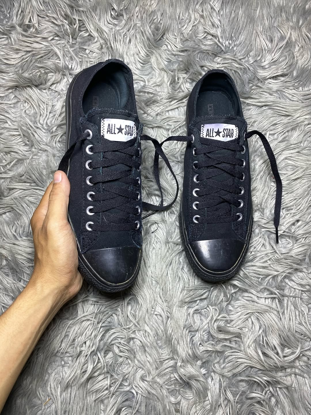 Converse Low Top (43)
