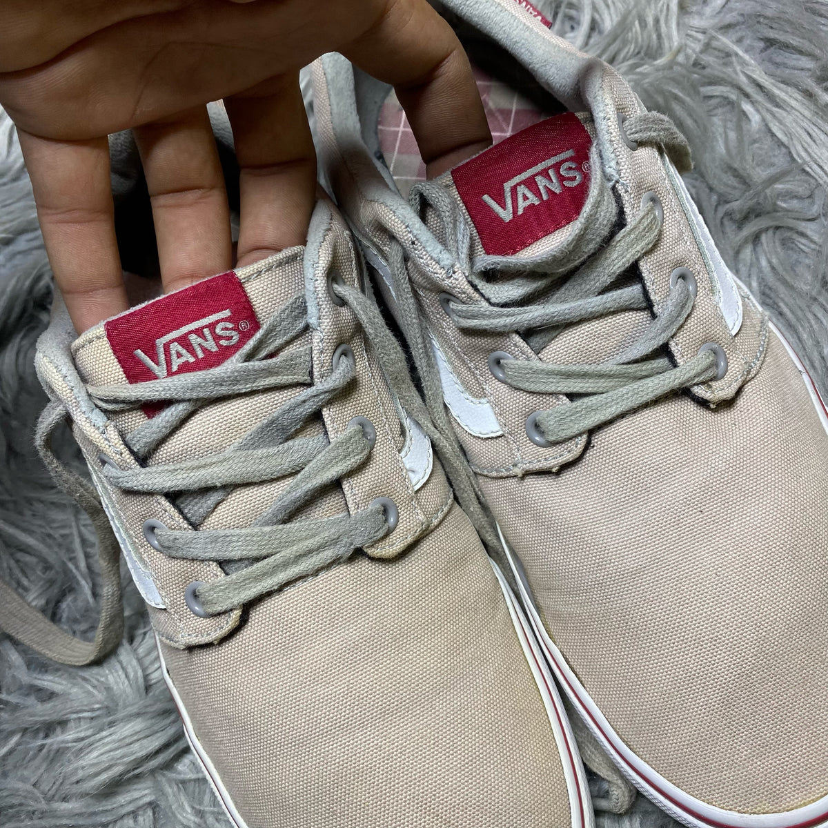 Vans Low Top (42)